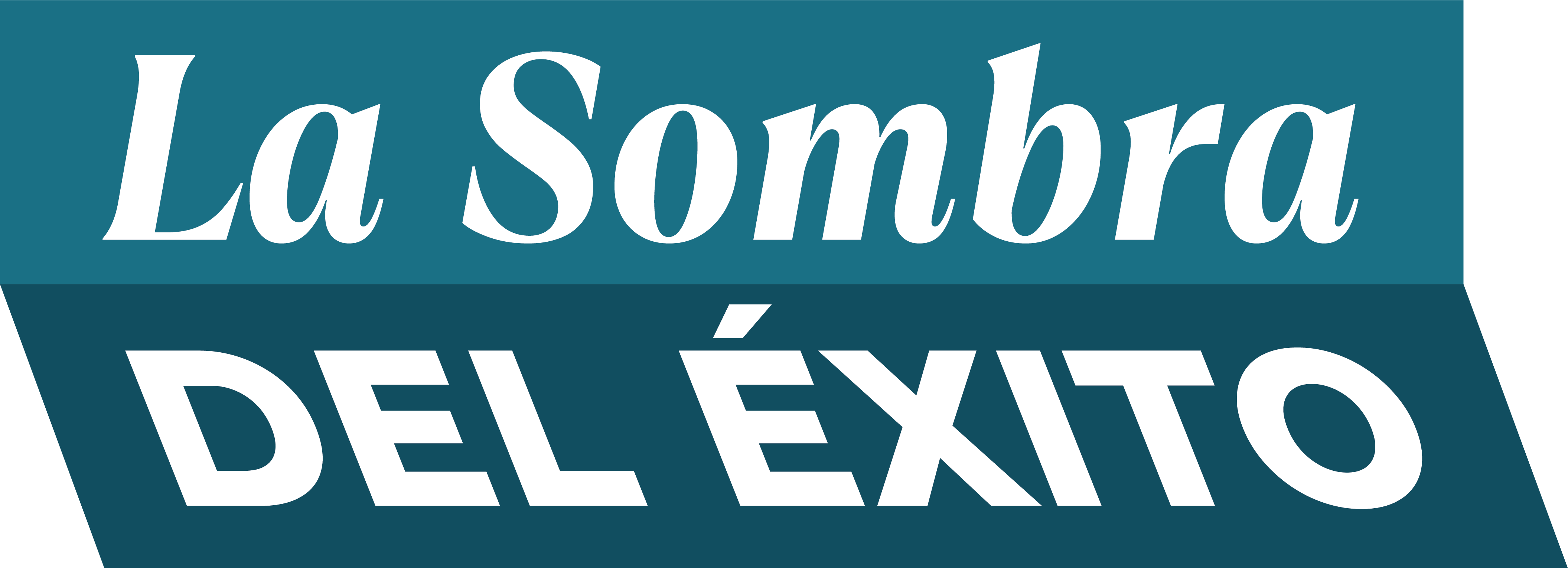 Logo 4
